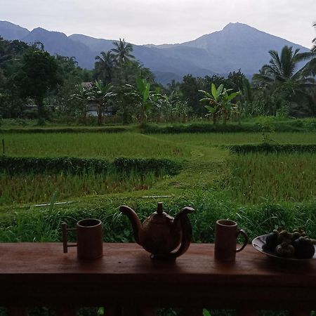 Coconut Homestay Tetebatu Eksteriør bilde