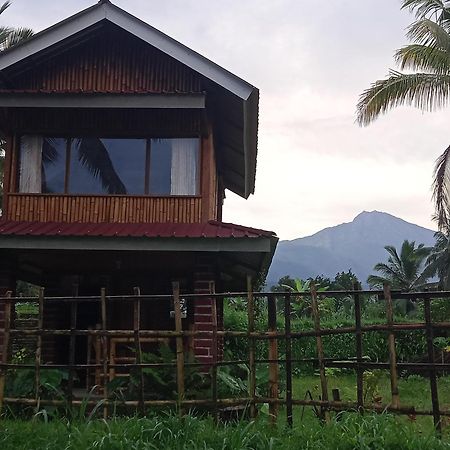 Coconut Homestay Tetebatu Eksteriør bilde