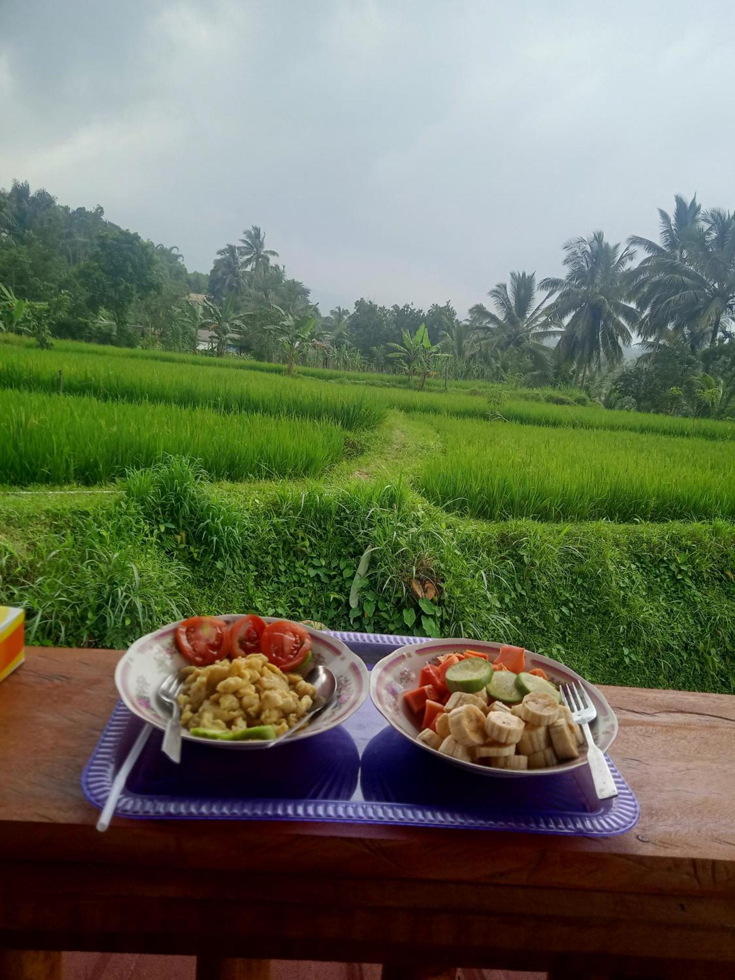 Coconut Homestay Tetebatu Eksteriør bilde