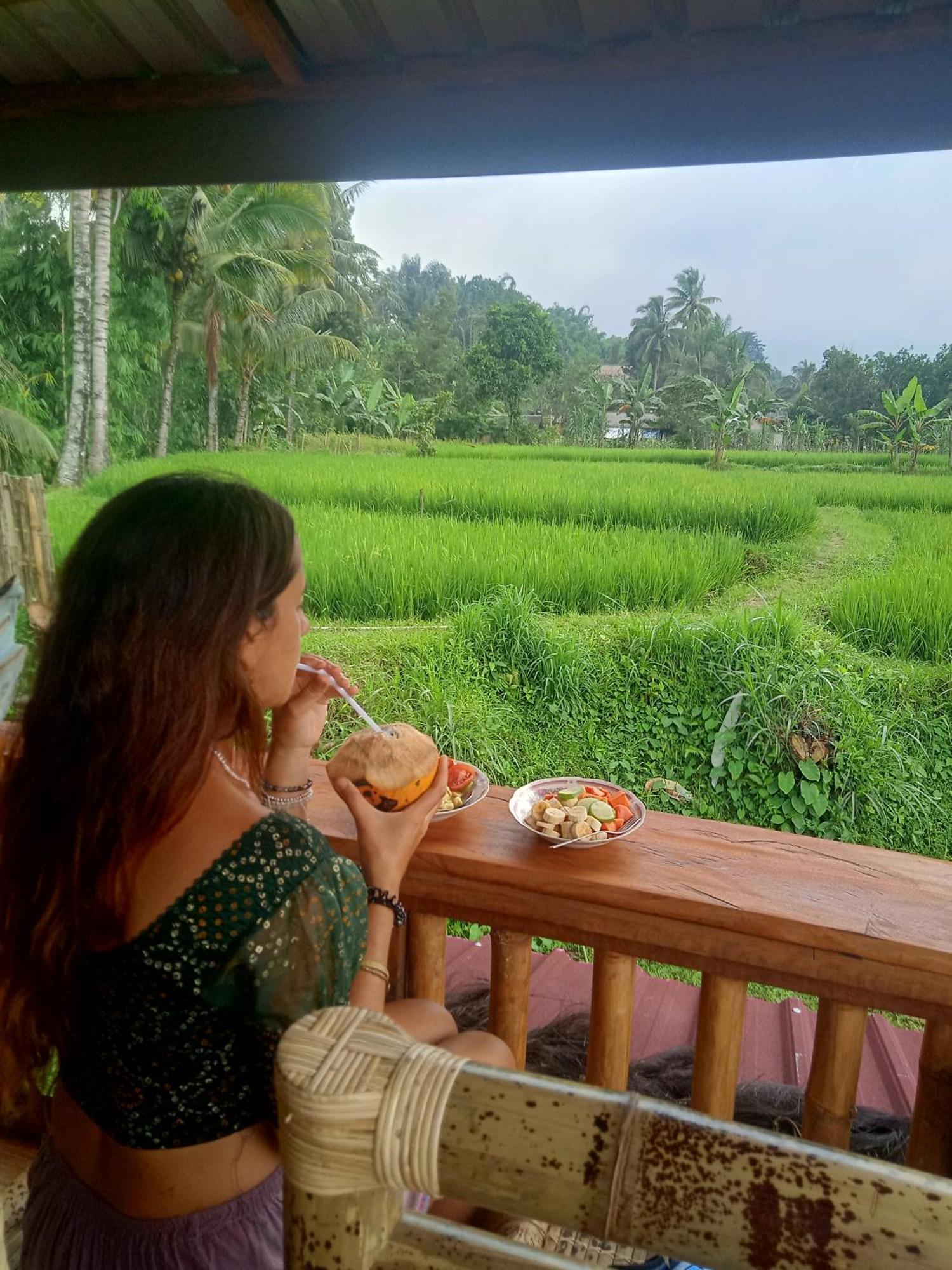 Coconut Homestay Tetebatu Eksteriør bilde