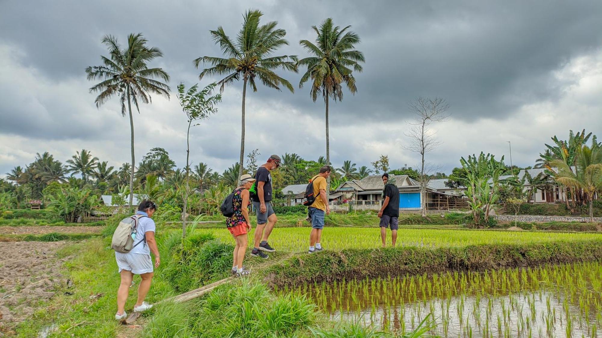 Coconut Homestay Tetebatu Eksteriør bilde