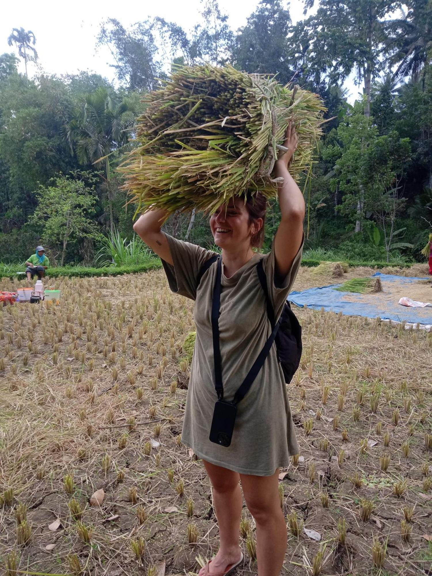 Coconut Homestay Tetebatu Eksteriør bilde