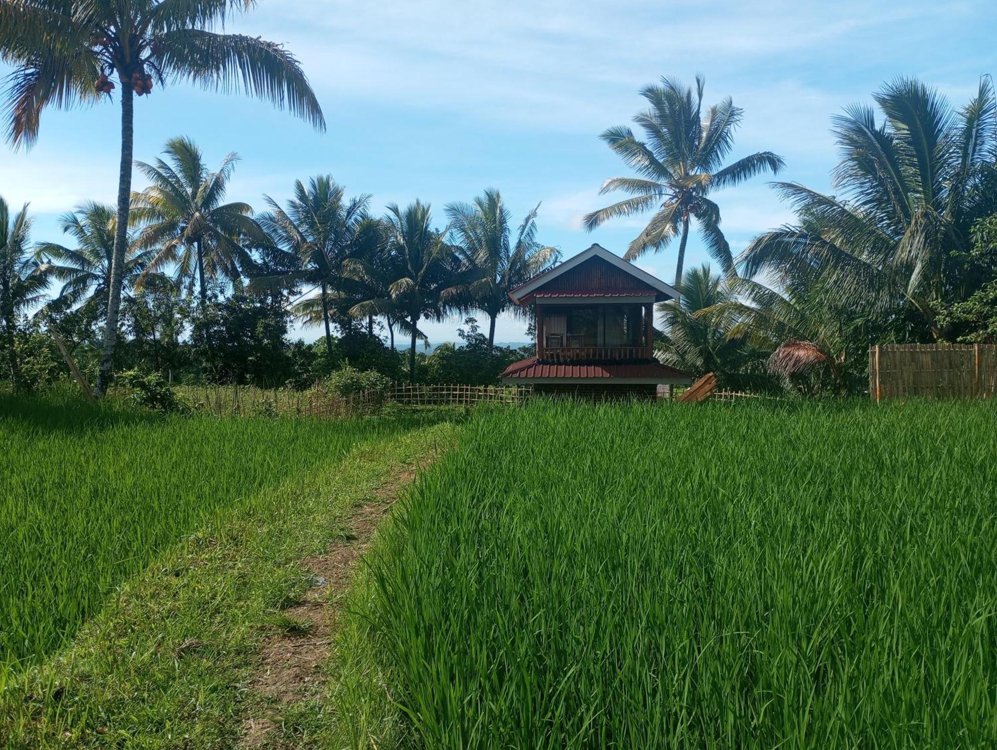 Coconut Homestay Tetebatu Eksteriør bilde