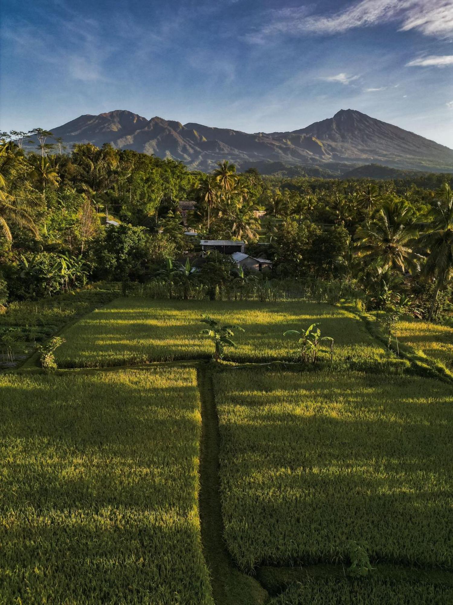 Coconut Homestay Tetebatu Eksteriør bilde
