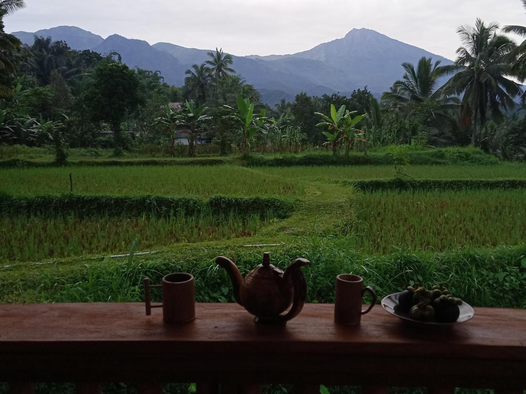 Coconut Homestay Tetebatu Eksteriør bilde