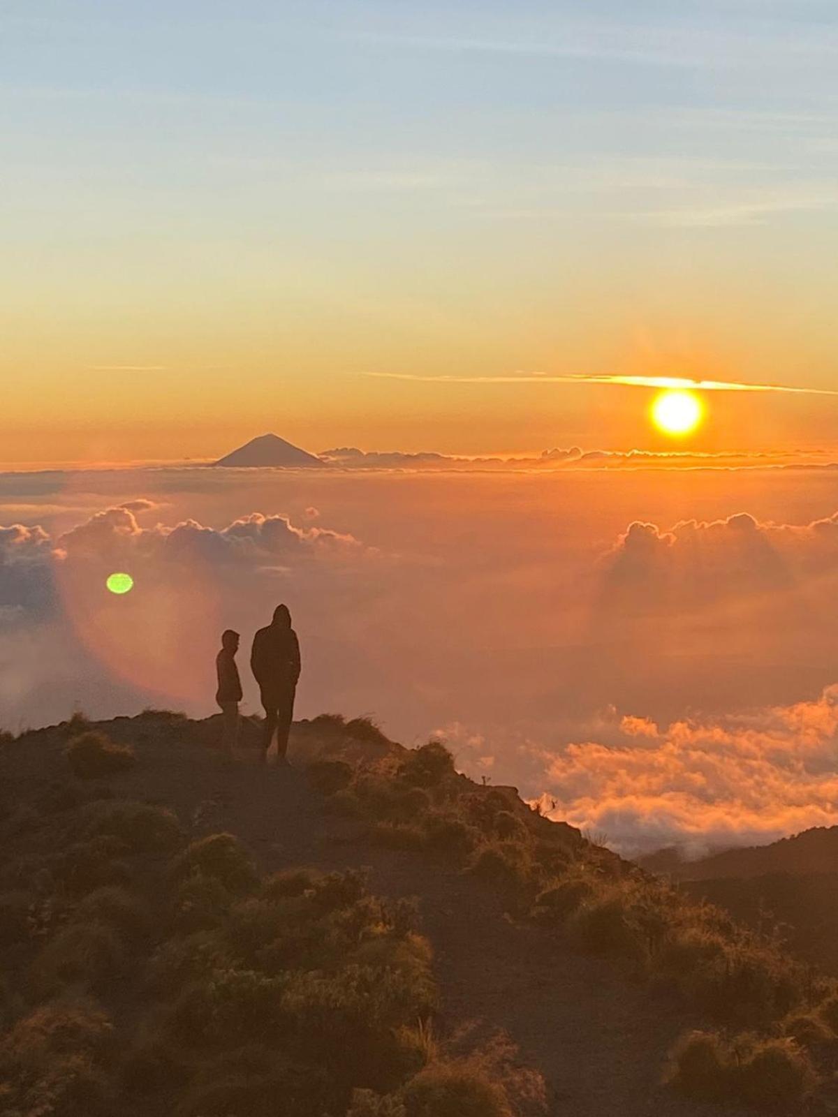 Coconut Homestay Tetebatu Eksteriør bilde